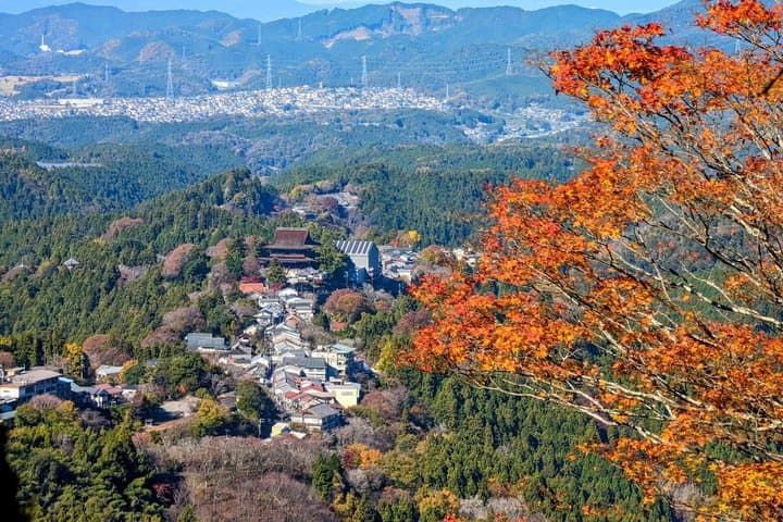Explore the Sacred Past of Mount Yoshino from Osaka — photo 11