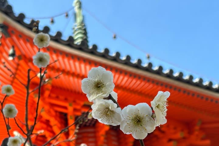 Mitaki Peace Tour Beyond Central Hiroshima — photo 10
