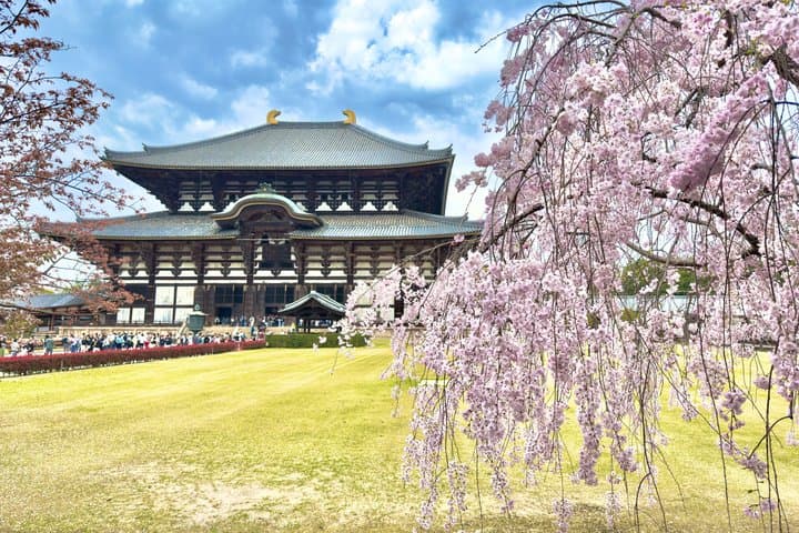 Osaka & Nara in 1-Day by Private Van with Local Expert Guide — photo 13