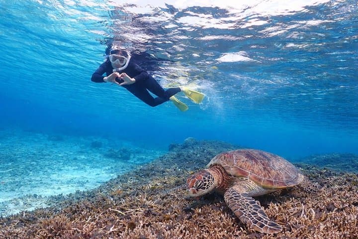 Snorkeling in Miyakojima- Fluent English! Small group! — photo 6