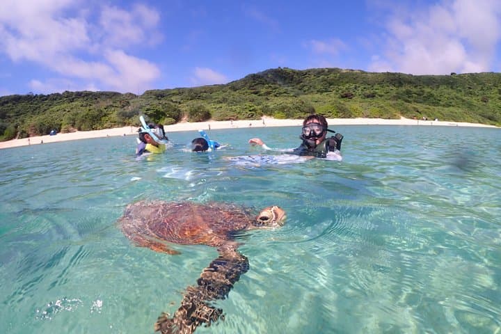 Snorkeling in Miyakojima- Fluent English! Small group! — photo 12