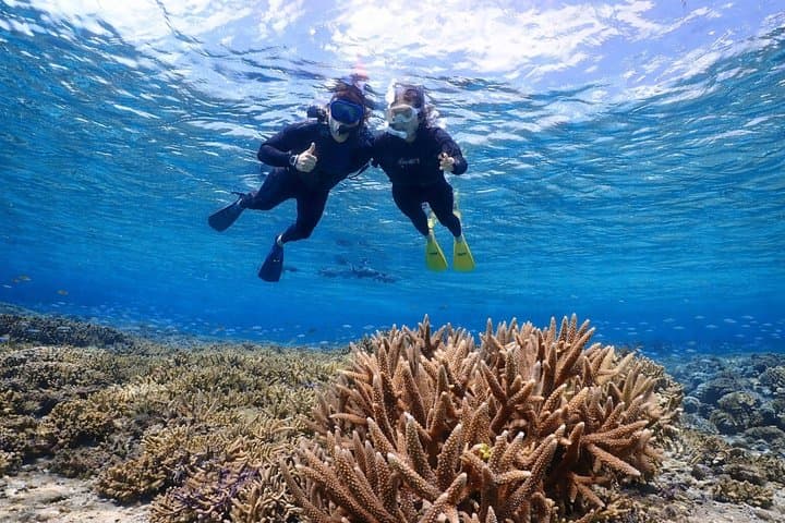 Snorkeling in Miyakojima- Fluent English! Small group! — photo 9