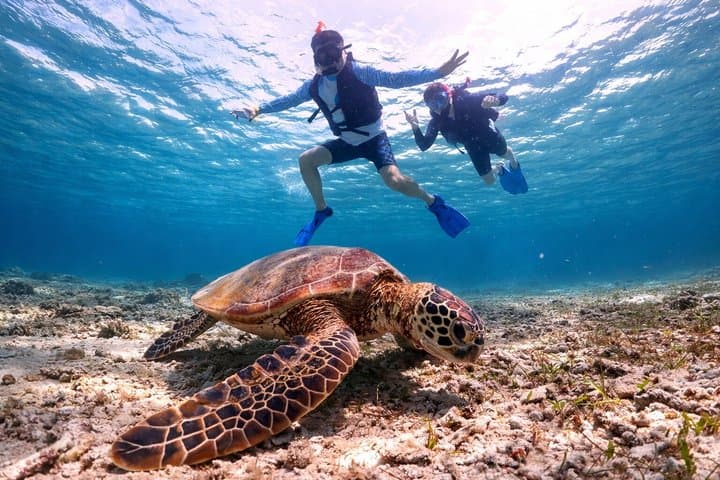 Snorkeling in Miyakojima- Fluent English! Small group! — photo 2