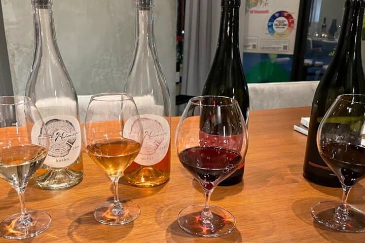 Discover Japanese Wine (not Sake): Guided Tasting in Tokyo — photo 3