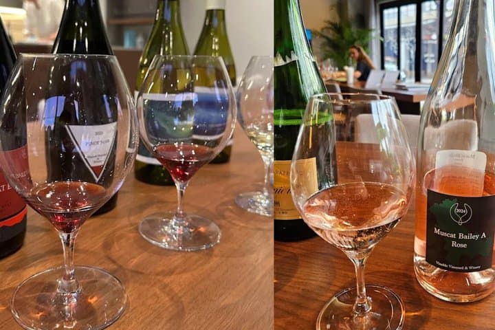 Discover Japanese Wine (not Sake): Guided Tasting in Tokyo — photo 5
