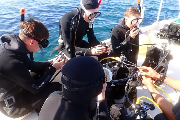[Half day] Charter diving experience at Ishigaki Island - Novices welcome!!～ — photo 9