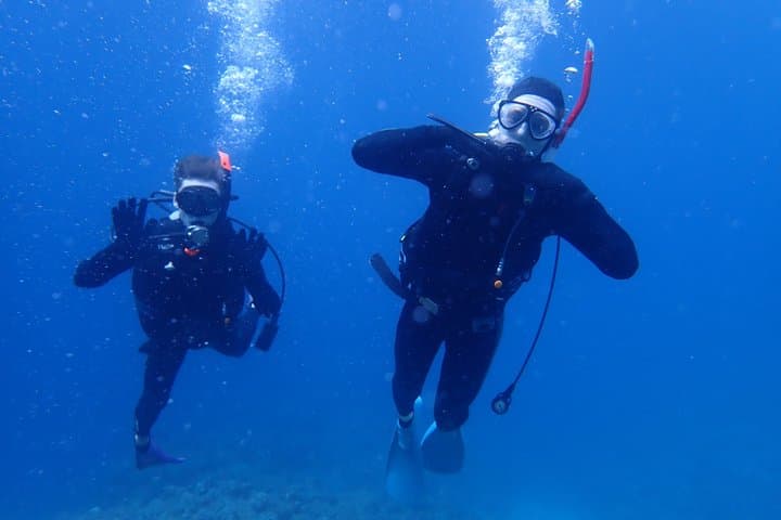 [Half day] Charter diving experience at Ishigaki Island - Novices welcome!!～ — photo 2
