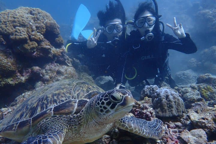 [Half day] Charter diving experience at Ishigaki Island - Novices welcome!!～ — photo 3
