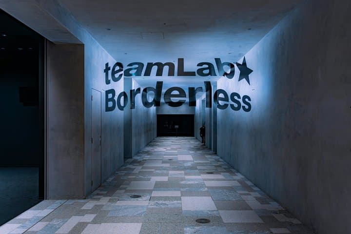 Futuristic Tokyo Tour in teamLab Borderless and City Views — photo 2