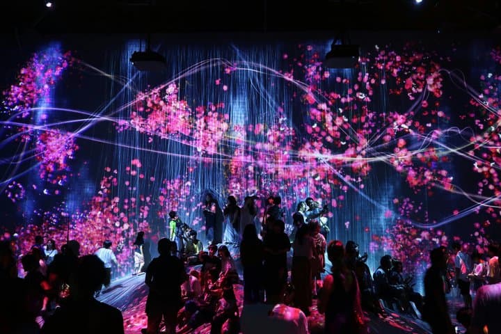 TeamLab Planets Art and Tsukiji Market Food Tour in Tokyo — photo 3