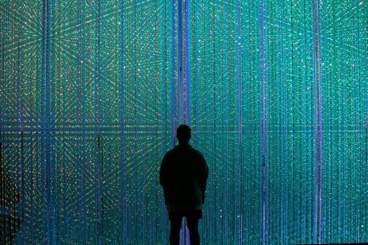 Futuristic Tokyo Tour in teamLab Borderless and City Views — photo 4