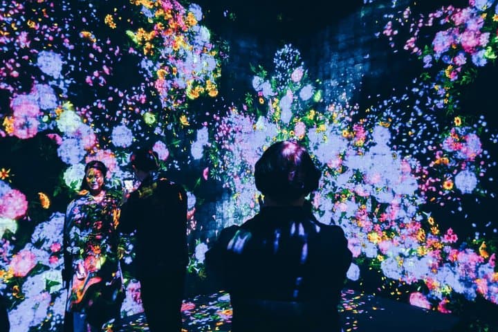 Futuristic Tokyo Tour in teamLab Borderless and City Views — photo 1