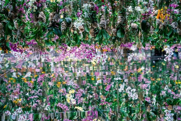TeamLab Planets Art and Tsukiji Market Food Tour in Tokyo — photo 2