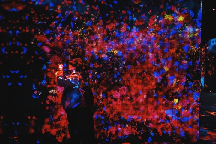 Tokyo Guided Tour teamLab Borderless and Imperial Palace — photo 3