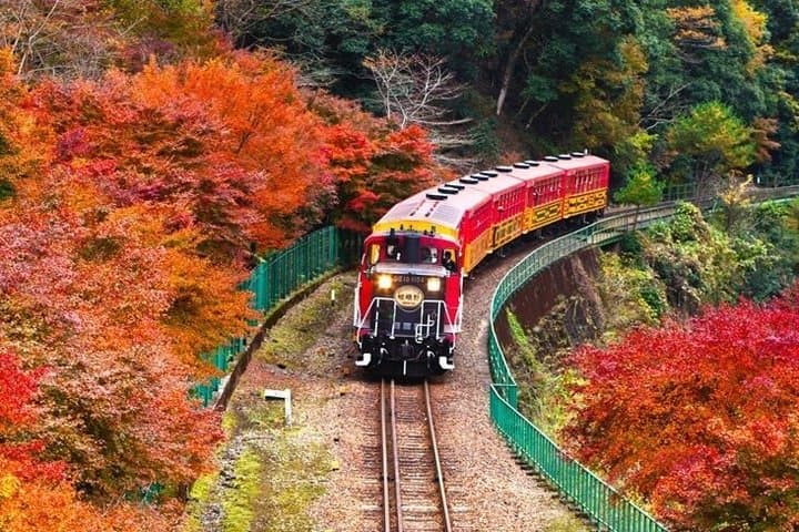 Sagano Romantic Train Ticket — photo 4