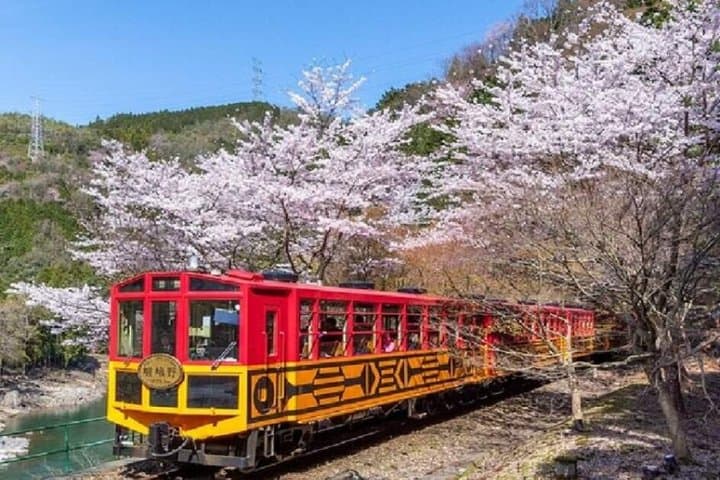 Sagano Romantic Train Ticket — photo 1