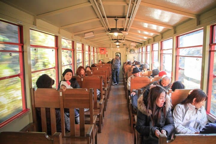 Sagano Romantic Train Ticket — photo 6