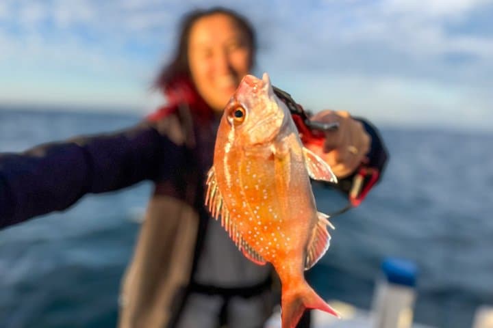 Fishing on the Genkai Sea and Gastronomic Tasting Course — photo 3