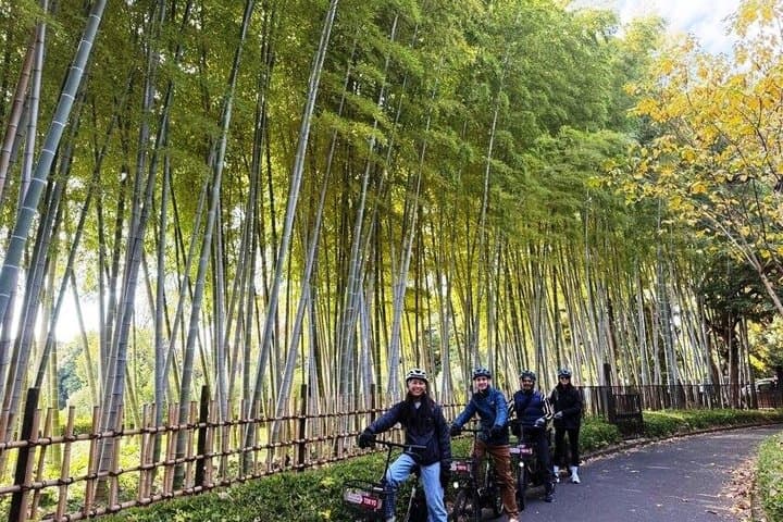 Explore Tokyo’s Must-See Spots by E-Bike – Small Group 3h Tour — photo 6