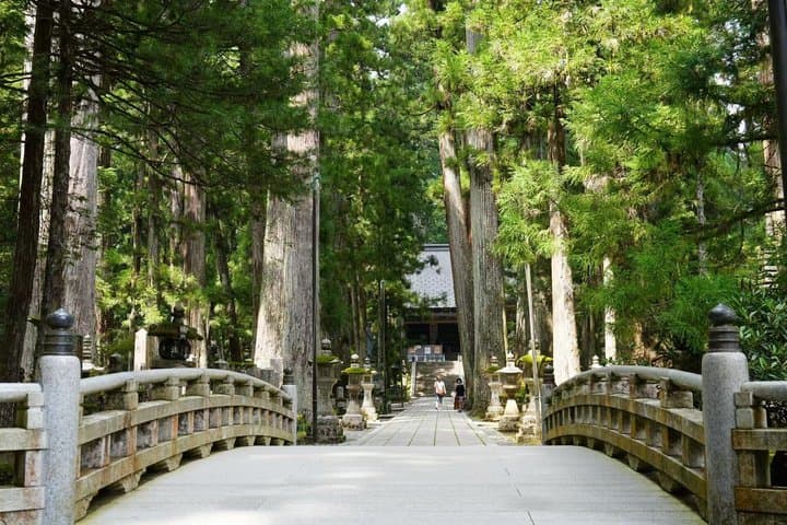 Koyasan Spiritual Day Trip: Goma Fire Ritual & Okunoin Forest — photo 8