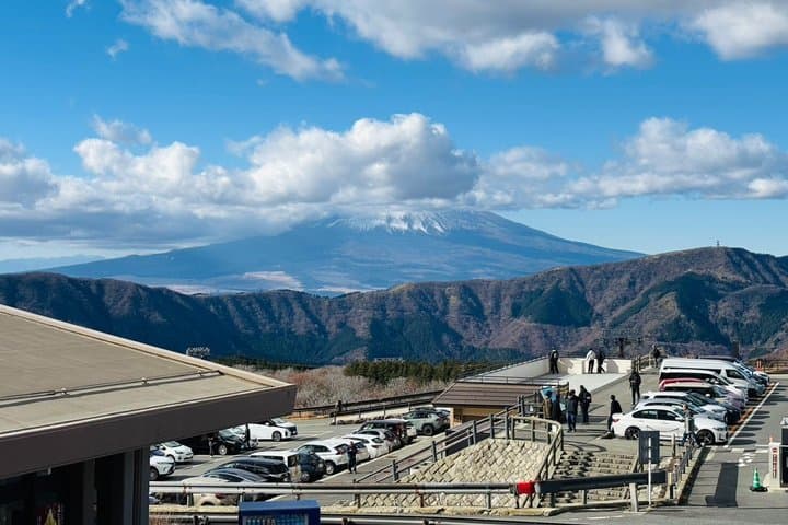 Hakone-Owakudani and Lake Ashi Guided Tour-VAN — photo 10