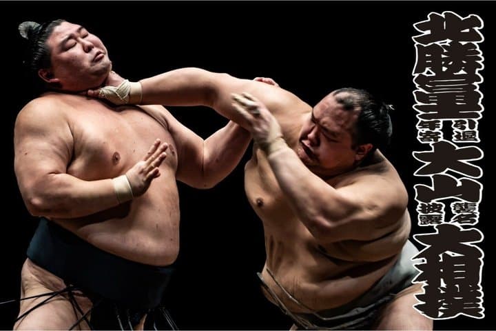 Tokyo Grand Sumo Exhibition and Retirement Ceremony Tour — photo 1