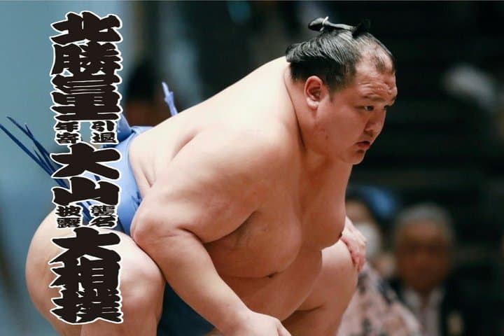 Tokyo Grand Sumo Exhibition and Retirement Ceremony Tour — photo 2