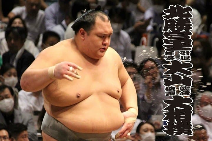 Tokyo Grand Sumo Exhibition and Retirement Ceremony Tour — photo 4