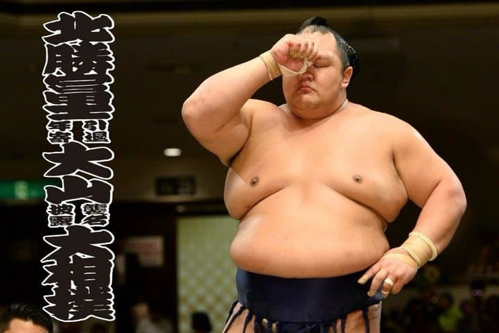 Tokyo Grand Sumo Exhibition and Retirement Ceremony Tour — photo 7