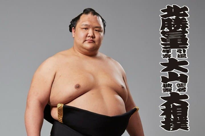 Tokyo Grand Sumo Exhibition and Retirement Ceremony Tour — photo 8
