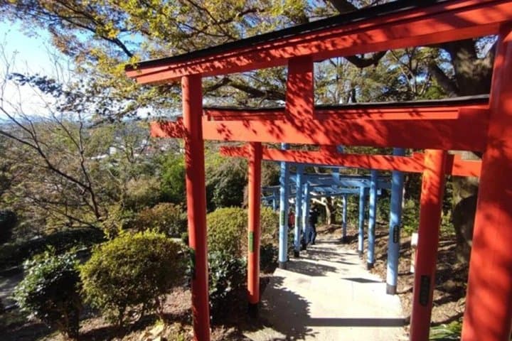 Ashikaga Highlights Private Guided Tour from Tokyo — photo 5