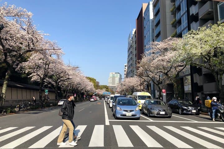A Photo Shooting Hidden Gem Tour for Sakura Cherry Blossom Season — photo 1