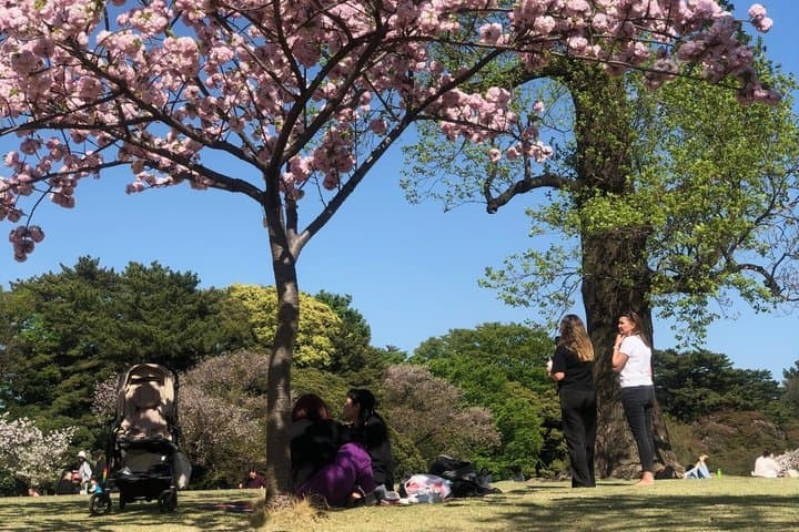 A Photo Shooting Hidden Gem Tour for Sakura Cherry Blossom Season — photo 2