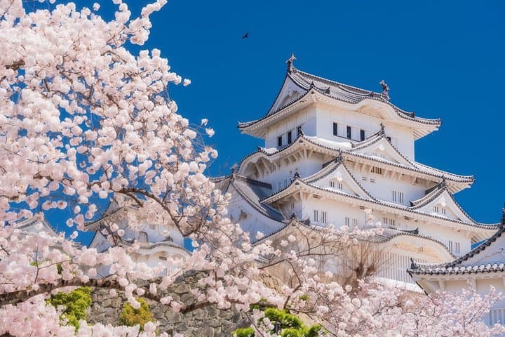 Osaka Departure: Private Customized Himeji Castle Day Trip — photo 2