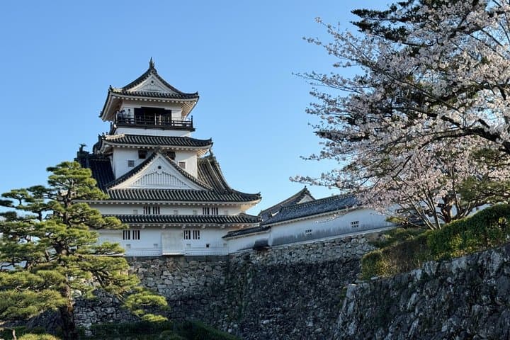 Kochi Castle and Exclusive Tea and Meditation Experience — photo 2