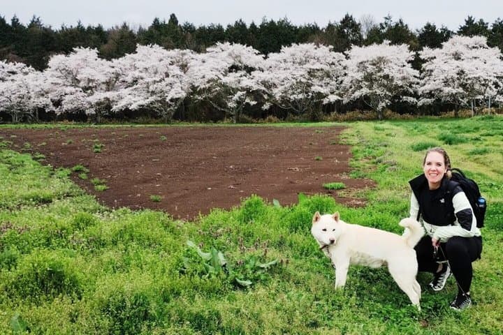 Hiroshima Country Cycling: Explore Rural Life by E-Bike — photo 2
