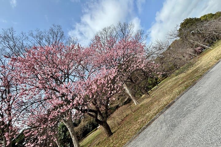 Exclusive Private Imperial Palace=Emperor&(SHOGUN)WI TOKYO NATIVE — photo 15