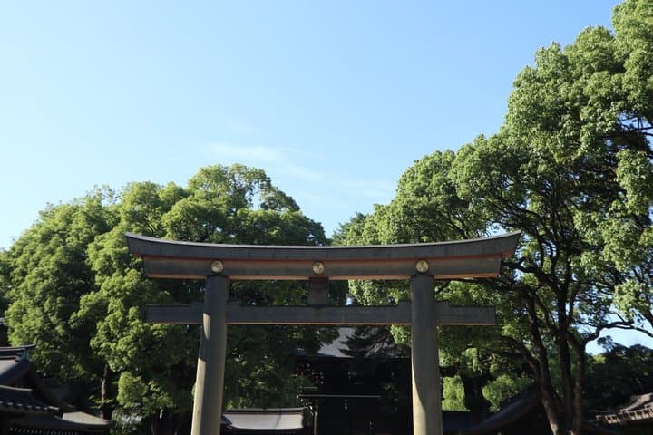 Shinjuku City Shared Walking Tour Adventure — photo 4