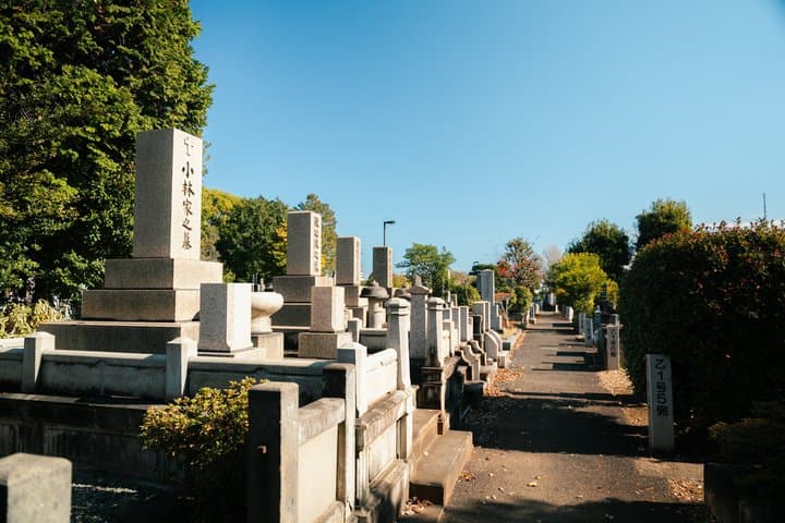 Old Tokyo Guided Walking Tour of Yanaka and Nezu Shrine — photo 6