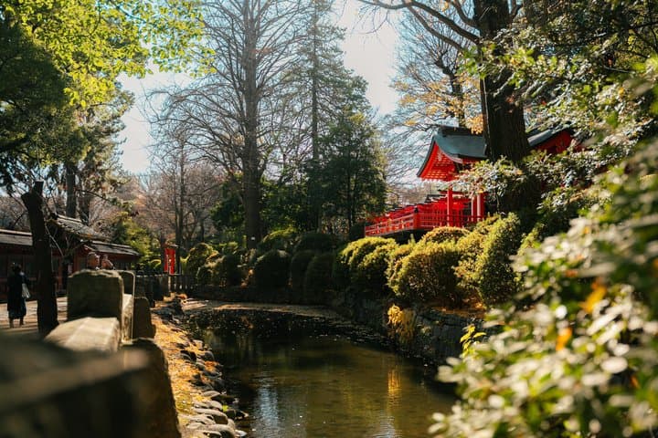 Old Tokyo Guided Walking Tour of Yanaka and Nezu Shrine — photo 9