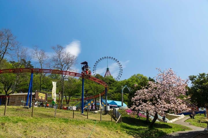 Sagamiko Resort Pleasure Forest Ticket and Ride Pass — photo 14