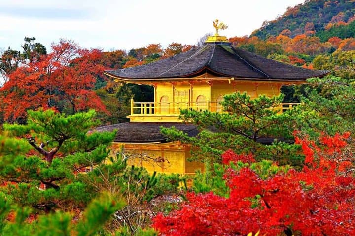 Ontabi Kyoto Uji One Day Tour — photo 12