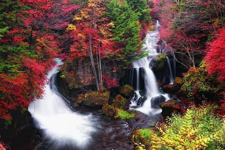 4 Days Private Japan Tour — photo 2