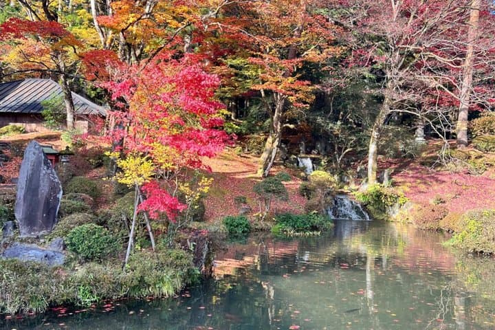 4 Days Private Japan Tour — photo 6