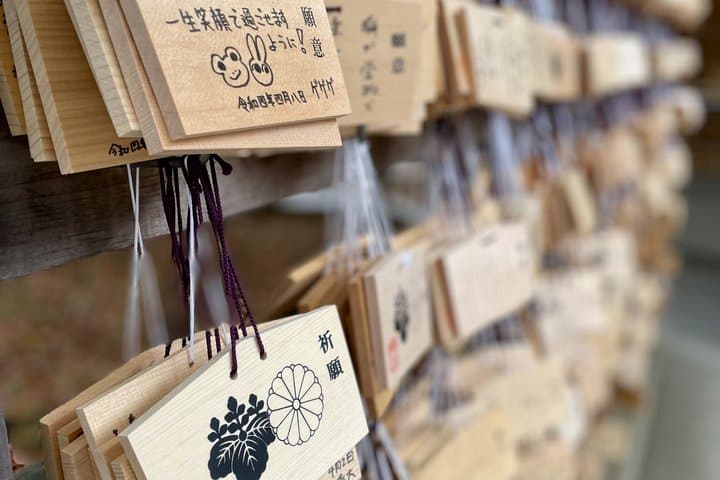 Harajuku and Meiji Jingu Cultural Walking Tour Tokyo — photo 7