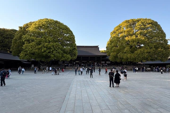 Harajuku and Meiji Jingu Cultural Walking Tour Tokyo — photo 3