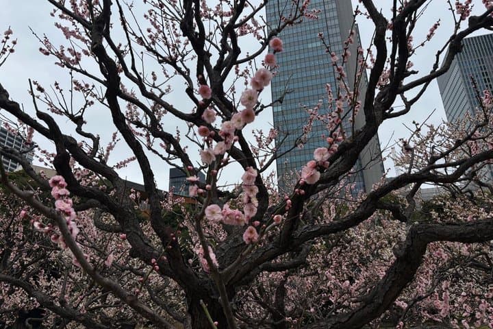 Tokyo Heritage Gardens: From the Shogunate to modern Japan — photo 9