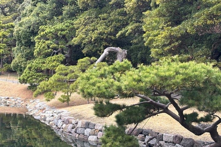 Tokyo Heritage Gardens: From the Shogunate to modern Japan — photo 12