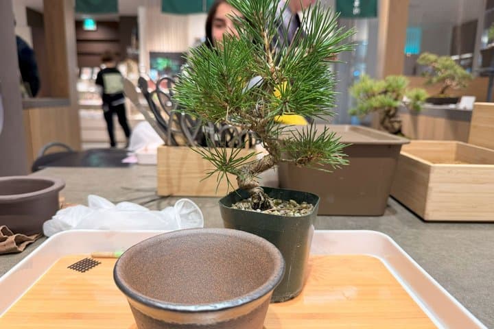 Authentic Bonsai Art Workshop in Tokyo — photo 8