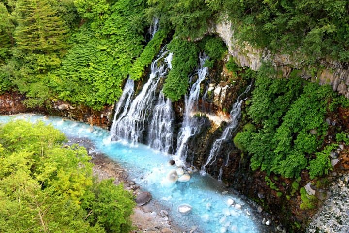 [Late Departure] Biei Best 5 Must-Visit Day Tour from Sapporo — photo 4